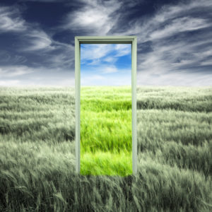 Opening door to green field